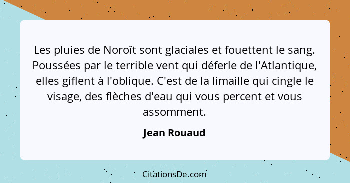 Les pluies de Noroît sont glaciales et fouettent le sang. Poussées par le terrible vent qui déferle de l'Atlantique, elles giflent à l'o... - Jean Rouaud