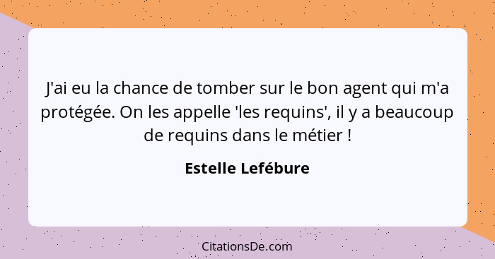 J'ai eu la chance de tomber sur le bon agent qui m'a protégée. On les appelle 'les requins', il y a beaucoup de requins dans le mét... - Estelle Lefébure