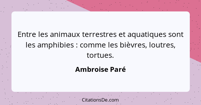 Entre les animaux terrestres et aquatiques sont les amphibies : comme les bièvres, loutres, tortues.... - Ambroise Paré