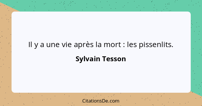 Il y a une vie après la mort : les pissenlits.... - Sylvain Tesson