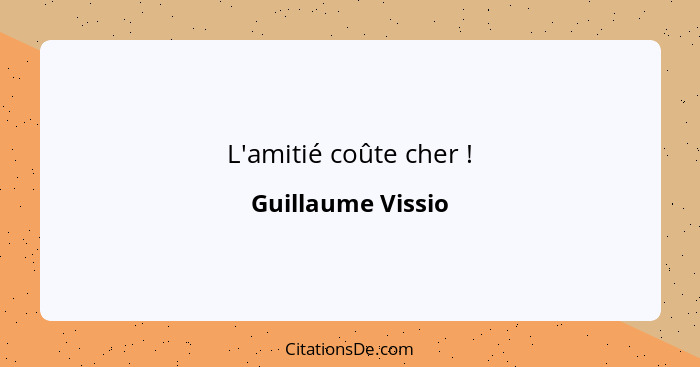 L'amitié coûte cher !... - Guillaume Vissio