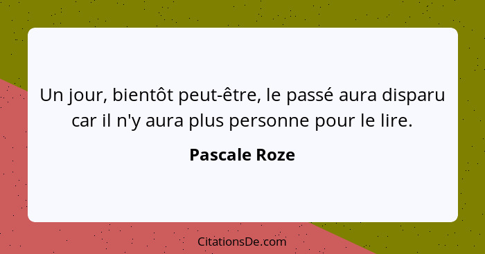 Un jour, bientôt peut-être, le passé aura disparu car il n'y aura plus personne pour le lire.... - Pascale Roze