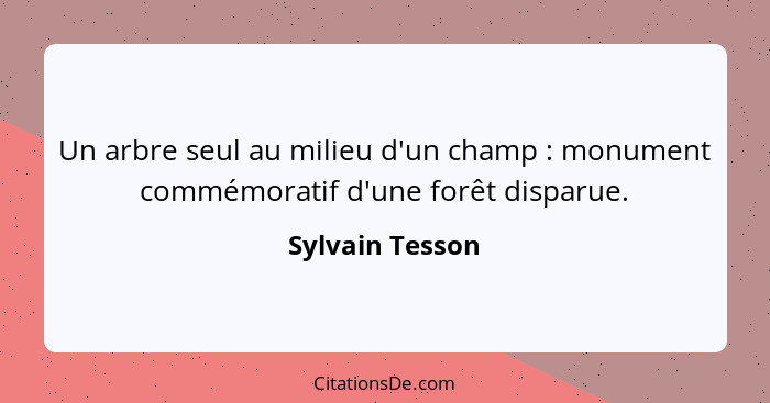 Un arbre seul au milieu d'un champ : monument commémoratif d'une forêt disparue.... - Sylvain Tesson