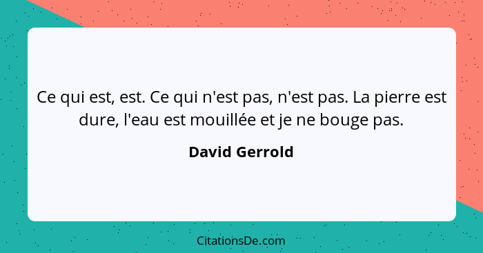 Ce qui est, est. Ce qui n'est pas, n'est pas. La pierre est dure, l'eau est mouillée et je ne bouge pas.... - David Gerrold