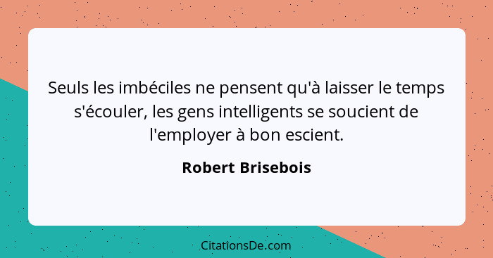 Seuls les imbéciles ne pensent qu'à laisser le temps s'écouler, les gens intelligents se soucient de l'employer à bon escient.... - Robert Brisebois