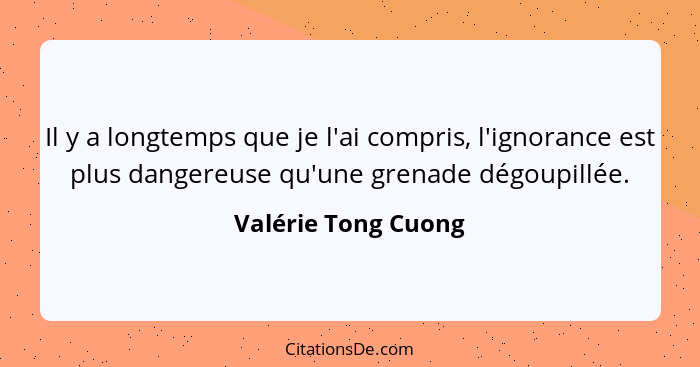 Il y a longtemps que je l'ai compris, l'ignorance est plus dangereuse qu'une grenade dégoupillée.... - Valérie Tong Cuong