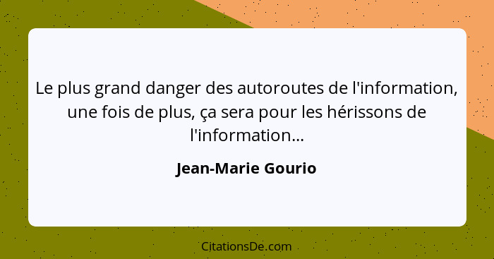 Le plus grand danger des autoroutes de l'information, une fois de plus, ça sera pour les hérissons de l'information...... - Jean-Marie Gourio
