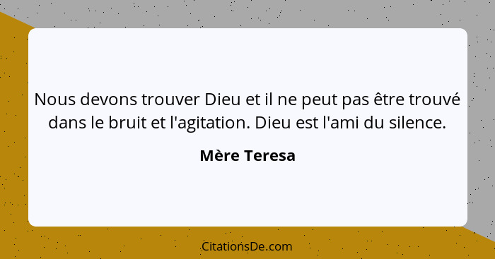 Nous devons trouver Dieu et il ne peut pas être trouvé dans le bruit et l'agitation. Dieu est l'ami du silence.... - Mère Teresa