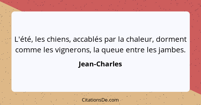 L'été, les chiens, accablés par la chaleur, dorment comme les vignerons, la queue entre les jambes.... - Jean-Charles