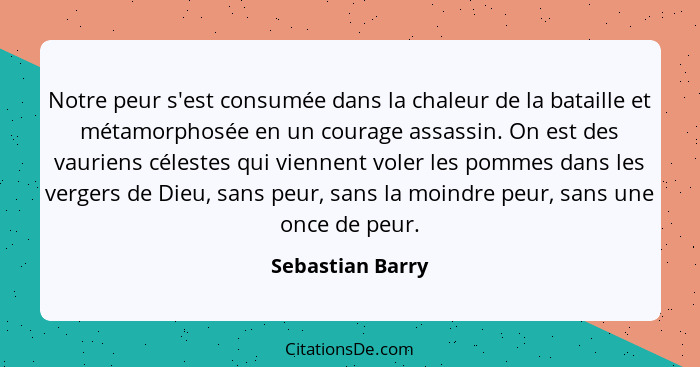 Notre peur s'est consumée dans la chaleur de la bataille et métamorphosée en un courage assassin. On est des vauriens célestes qui v... - Sebastian Barry