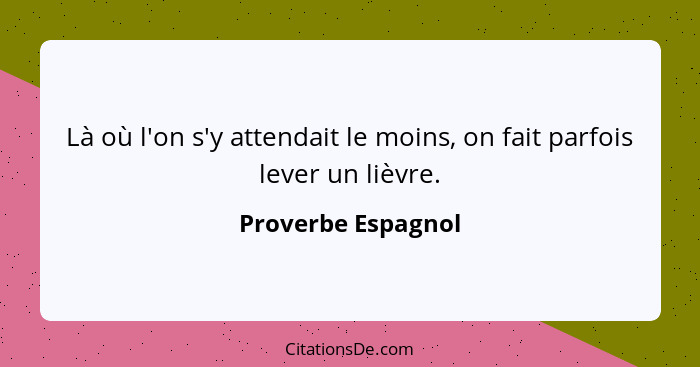 Là où l'on s'y attendait le moins, on fait parfois lever un lièvre.... - Proverbe Espagnol