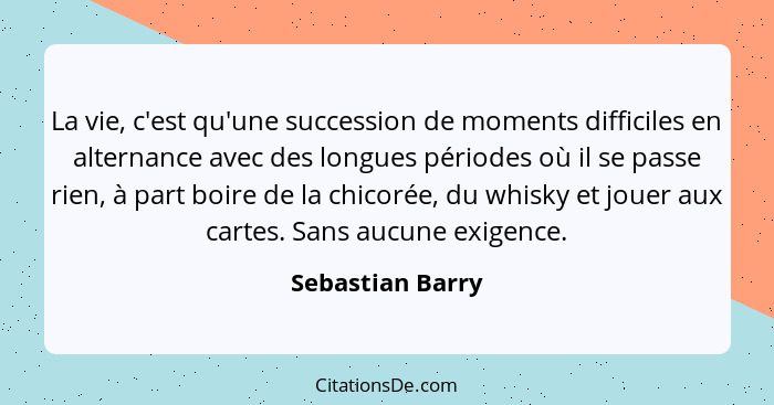 La vie, c'est qu'une succession de moments difficiles en alternance avec des longues périodes où il se passe rien, à part boire de l... - Sebastian Barry