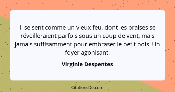 Il se sent comme un vieux feu, dont les braises se réveilleraient parfois sous un coup de vent, mais jamais suffisamment pour emb... - Virginie Despentes