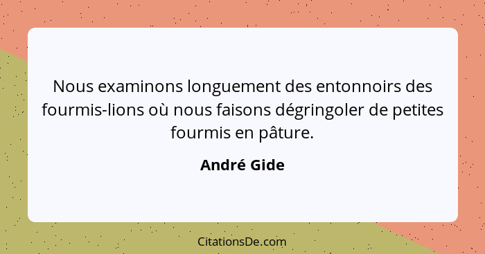 Nous examinons longuement des entonnoirs des fourmis-lions où nous faisons dégringoler de petites fourmis en pâture.... - André Gide
