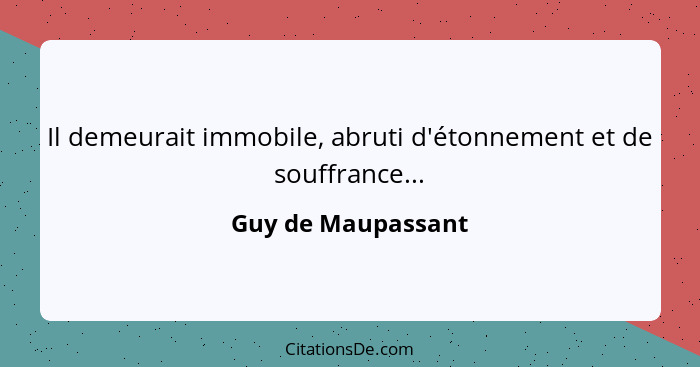 Il demeurait immobile, abruti d'étonnement et de souffrance...... - Guy de Maupassant