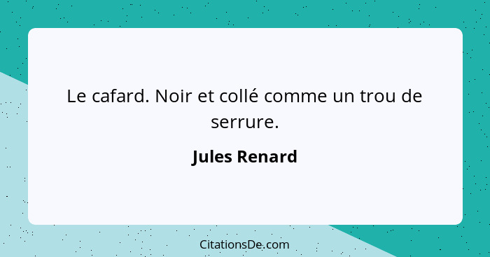 Le cafard. Noir et collé comme un trou de serrure.... - Jules Renard