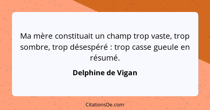 Ma mère constituait un champ trop vaste, trop sombre, trop désespéré : trop casse gueule en résumé.... - Delphine de Vigan