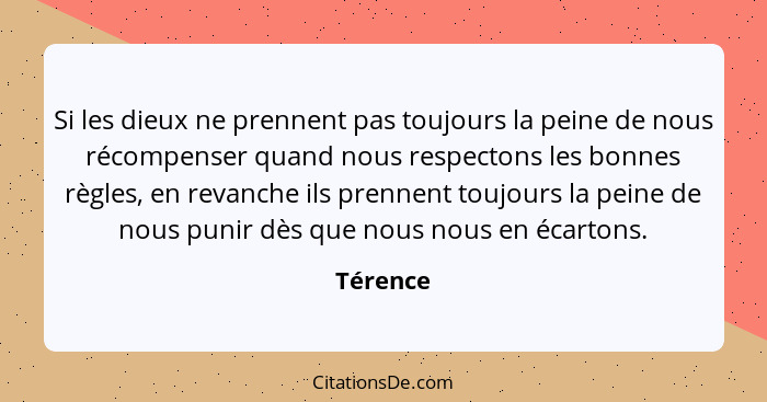 Si les dieux ne prennent pas toujours la peine de nous récompenser quand nous respectons les bonnes règles, en revanche ils prennent toujour... - Térence