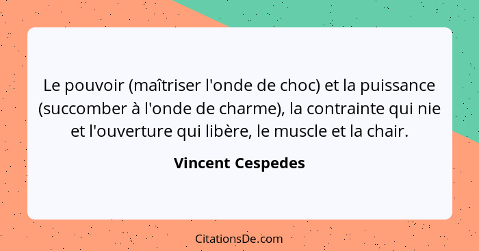 Le pouvoir (maîtriser l'onde de choc) et la puissance (succomber à l'onde de charme), la contrainte qui nie et l'ouverture qui libè... - Vincent Cespedes