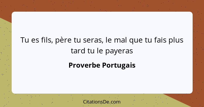 Tu es fils, père tu seras, le mal que tu fais plus tard tu le payeras... - Proverbe Portugais