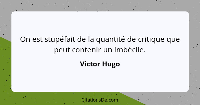 On est stupéfait de la quantité de critique que peut contenir un imbécile.... - Victor Hugo