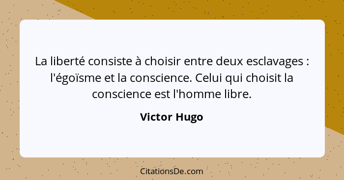La liberté consiste à choisir entre deux esclavages : l'égoïsme et la conscience. Celui qui choisit la conscience est l'homme libre... - Victor Hugo