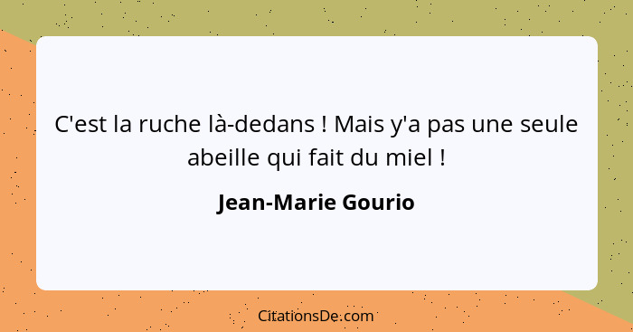 C'est la ruche là-dedans ! Mais y'a pas une seule abeille qui fait du miel !... - Jean-Marie Gourio