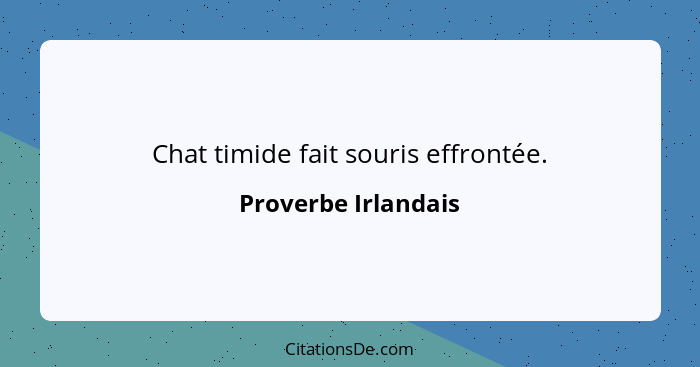 Chat timide fait souris effrontée.... - Proverbe Irlandais