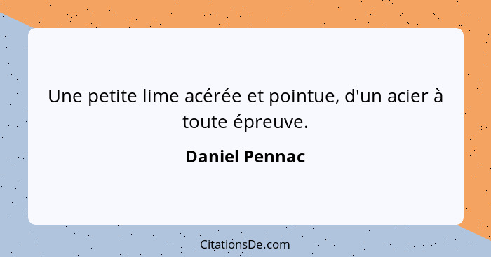 Une petite lime acérée et pointue, d'un acier à toute épreuve.... - Daniel Pennac