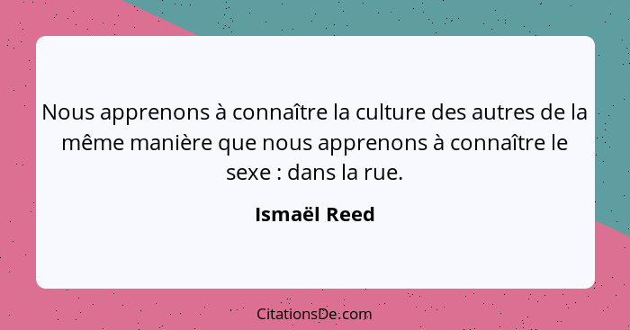Nous apprenons à connaître la culture des autres de la même manière que nous apprenons à connaître le sexe : dans la rue.... - Ismaël Reed