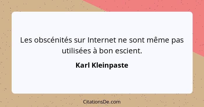 Les obscénités sur Internet ne sont même pas utilisées à bon escient.... - Karl Kleinpaste