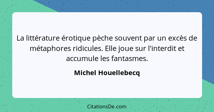 La littérature érotique pèche souvent par un excès de métaphores ridicules. Elle joue sur l'interdit et accumule les fantasmes.... - Michel Houellebecq