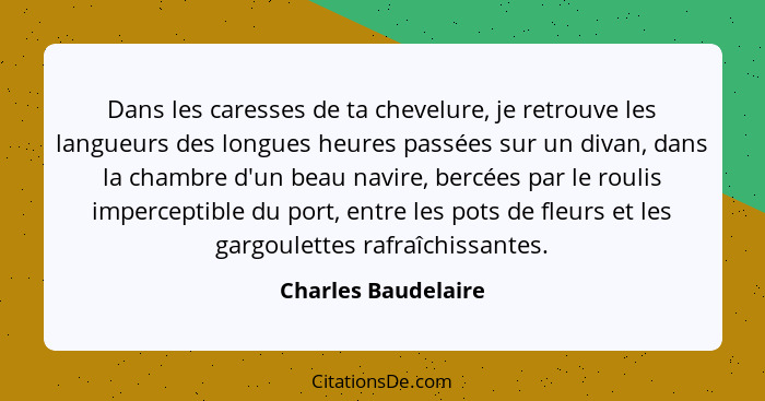 Dans les caresses de ta chevelure, je retrouve les langueurs des longues heures passées sur un divan, dans la chambre d'un beau n... - Charles Baudelaire