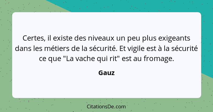 Certes, il existe des niveaux un peu plus exigeants dans les métiers de la sécurité. Et vigile est à la sécurité ce que "La vache qui rit" est... - Gauz