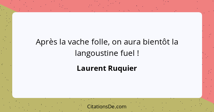 Après la vache folle, on aura bientôt la langoustine fuel !... - Laurent Ruquier