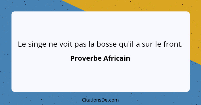 Le singe ne voit pas la bosse qu'il a sur le front.... - Proverbe Africain