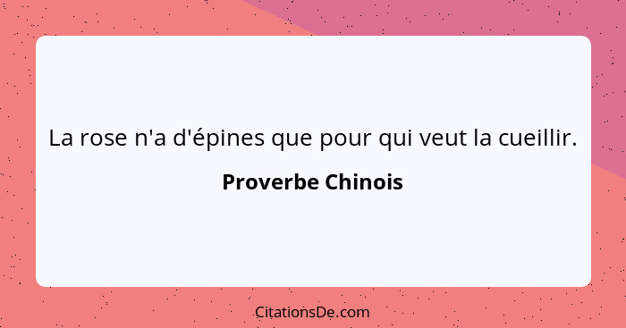 La rose n'a d'épines que pour qui veut la cueillir.... - Proverbe Chinois