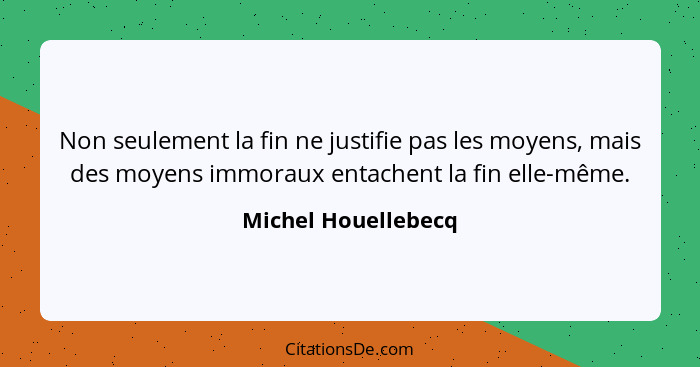 Non seulement la fin ne justifie pas les moyens, mais des moyens immoraux entachent la fin elle-même.... - Michel Houellebecq