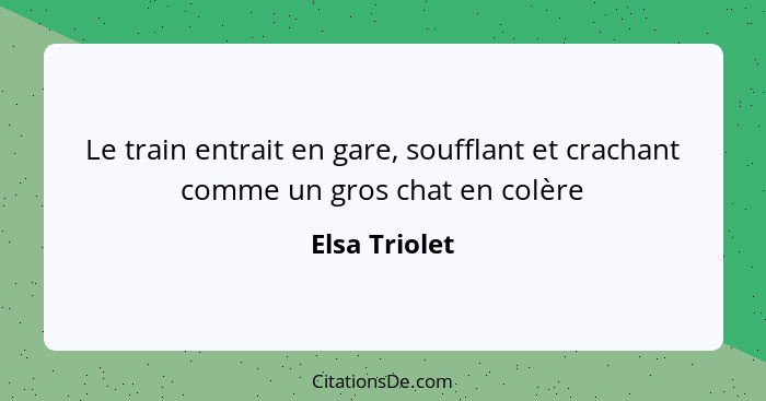 Le train entrait en gare, soufflant et crachant comme un gros chat en colère... - Elsa Triolet