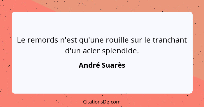 Le remords n'est qu'une rouille sur le tranchant d'un acier splendide.... - André Suarès