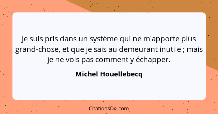 Je suis pris dans un système qui ne m'apporte plus grand-chose, et que je sais au demeurant inutile ; mais je ne vois pas co... - Michel Houellebecq