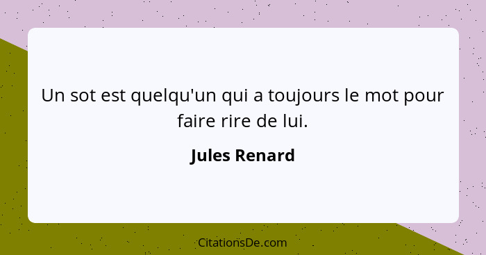 Un sot est quelqu'un qui a toujours le mot pour faire rire de lui.... - Jules Renard