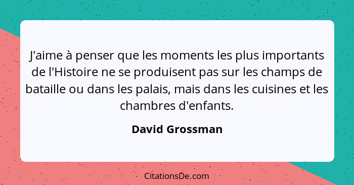 J'aime à penser que les moments les plus importants de l'Histoire ne se produisent pas sur les champs de bataille ou dans les palais,... - David Grossman