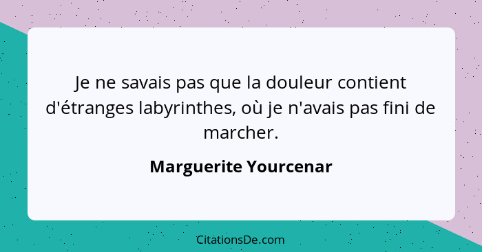 Je ne savais pas que la douleur contient d'étranges labyrinthes, où je n'avais pas fini de marcher.... - Marguerite Yourcenar