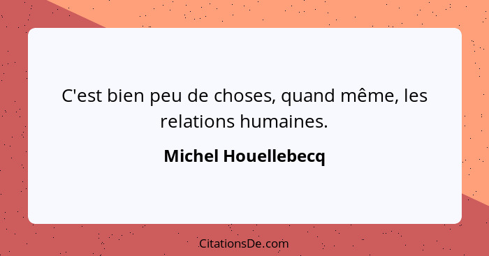 C'est bien peu de choses, quand même, les relations humaines.... - Michel Houellebecq