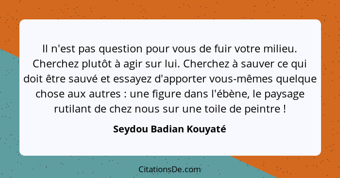 Il n'est pas question pour vous de fuir votre milieu. Cherchez plutôt à agir sur lui. Cherchez à sauver ce qui doit être sauvé... - Seydou Badian Kouyaté