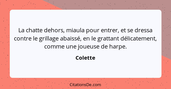 La chatte dehors, miaula pour entrer, et se dressa contre le grillage abaissé, en le grattant délicatement, comme une joueuse de harpe.... - Colette