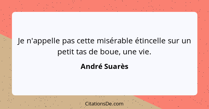 Je n'appelle pas cette misérable étincelle sur un petit tas de boue, une vie.... - André Suarès