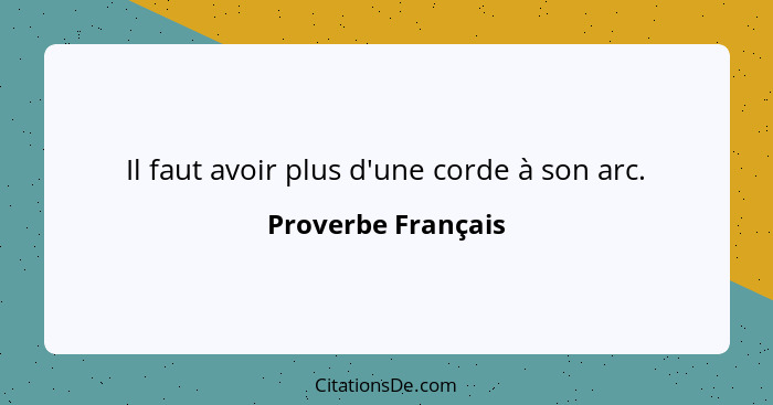 Il faut avoir plus d'une corde à son arc.... - Proverbe Français