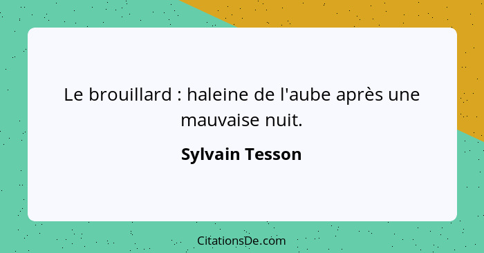 Le brouillard : haleine de l'aube après une mauvaise nuit.... - Sylvain Tesson